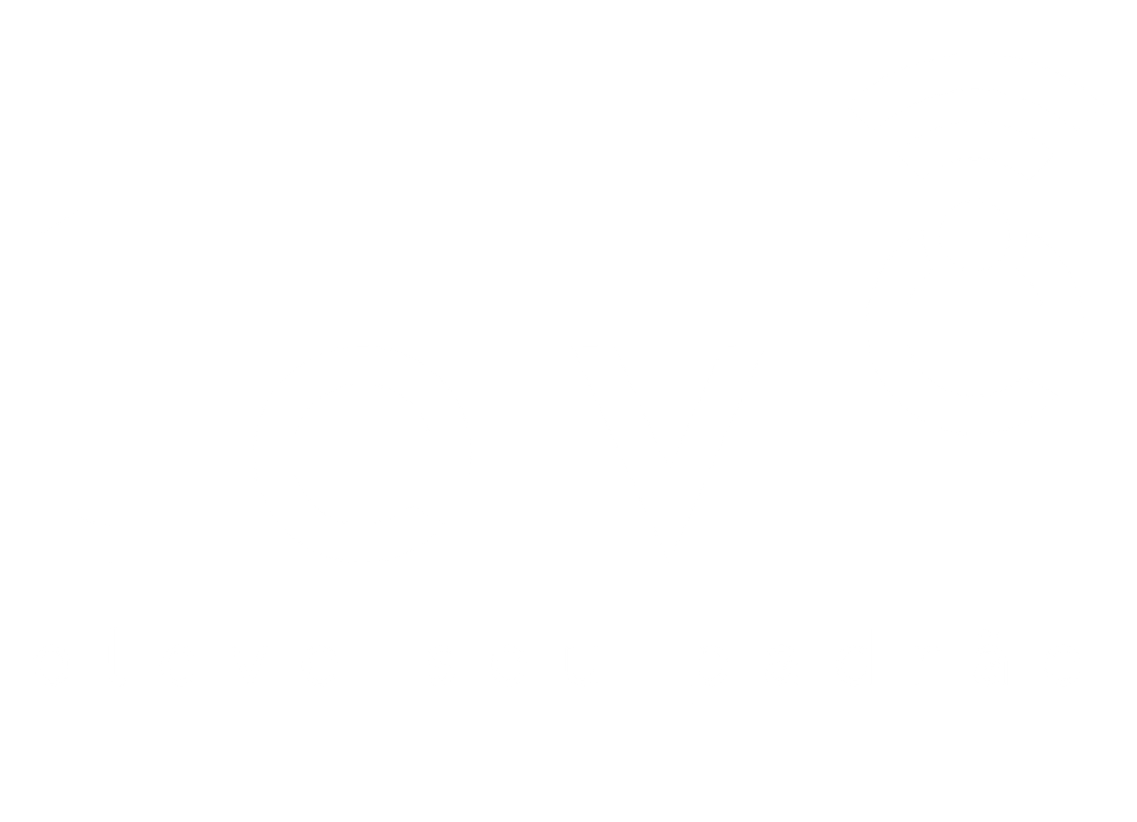 Leve Fibra — eleve seu padrão